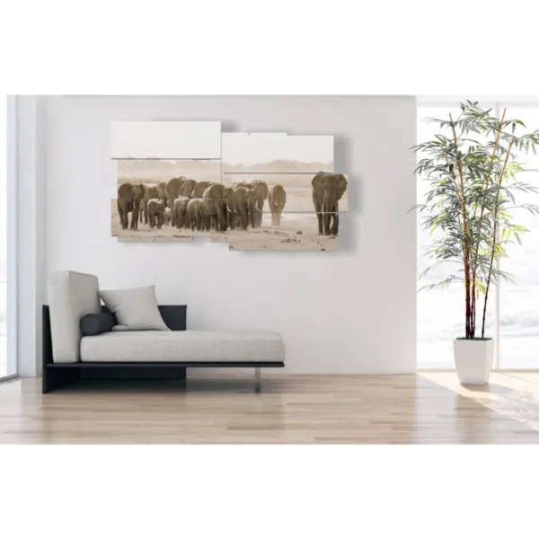 African elephant prints