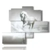 painting of white horse in water - version: 5 pannelli 120x99cm