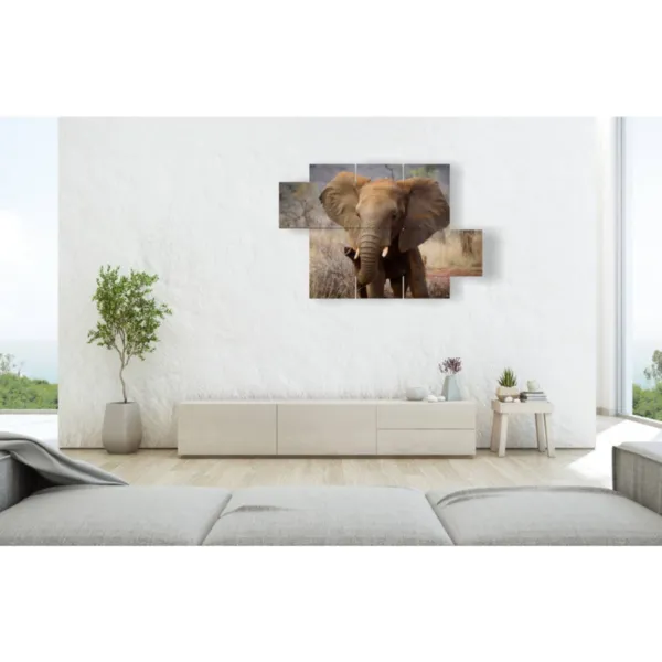 Murals with sad elephants