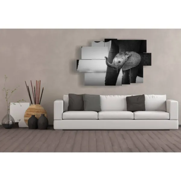 Dumbo elephant prints