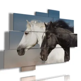 cuadros caballos
