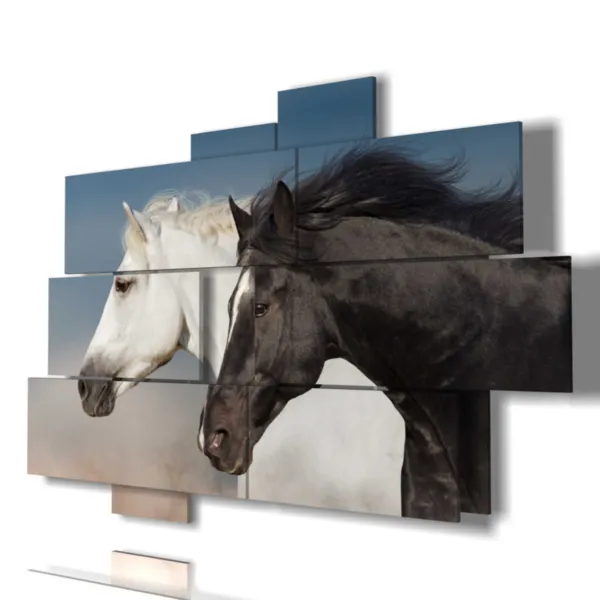 quadri con cavalli bianchi neri immagini stampe design moderne 3d Duudaart