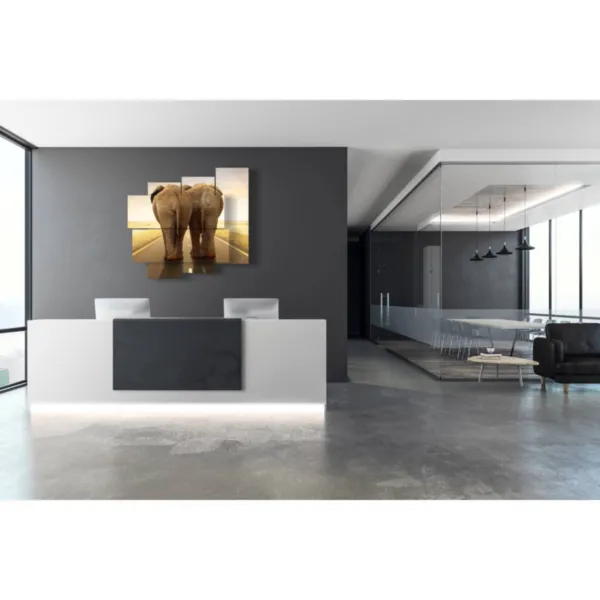 decorazioni elefanti divertenti