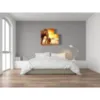 elephant paintings interior design