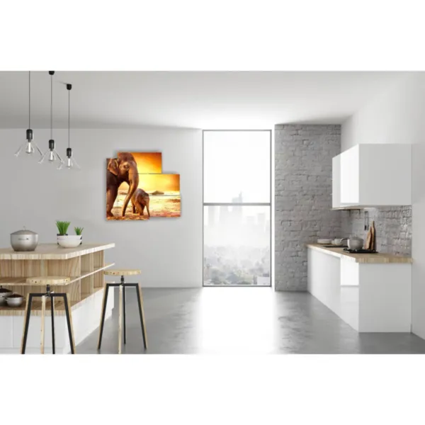 Modern elephant prints