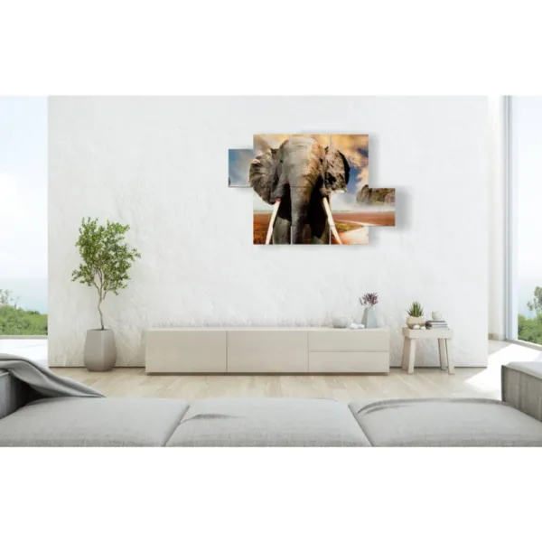 African elephant image