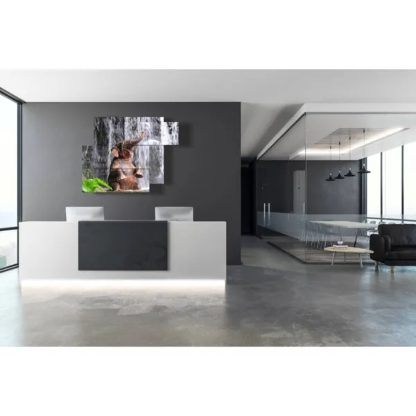 Lustiges Elefantenbild