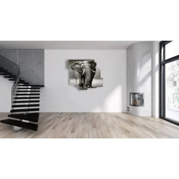 Indian elephant prints