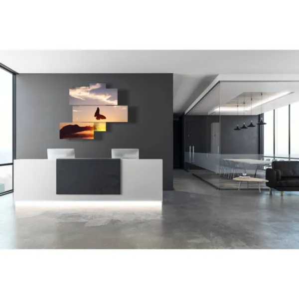 stylized butterfly murals