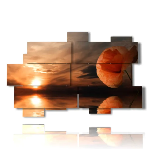 Foto de amapolas dibujo