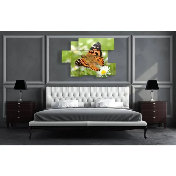 butterfly paintings in a field of daisies