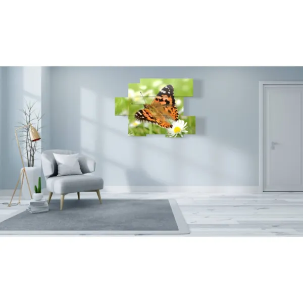 cuadros mariposas decoración