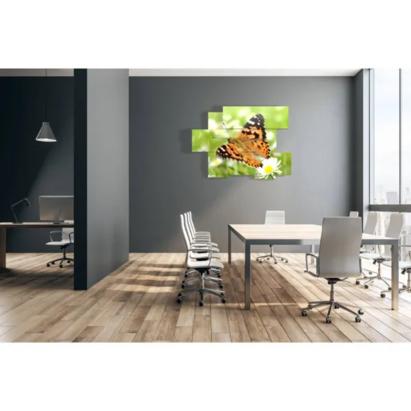 Bilder Schmetterling Druck