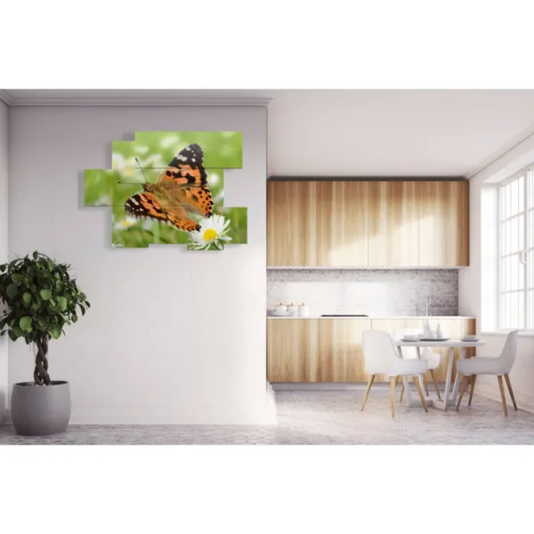 Tableaux de papillons dans un champ de marguerites modernes