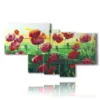 tableau avec des images de coquelicots peints - version: 7 pannelli 171x102cm