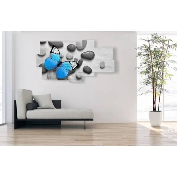 Poster Schmetterling Bilder