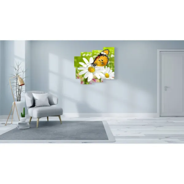 Bilder über Schmetterlinge