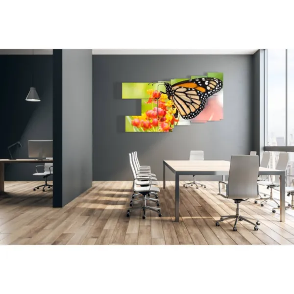 Cuadros con mariposas reales para enmarcar.