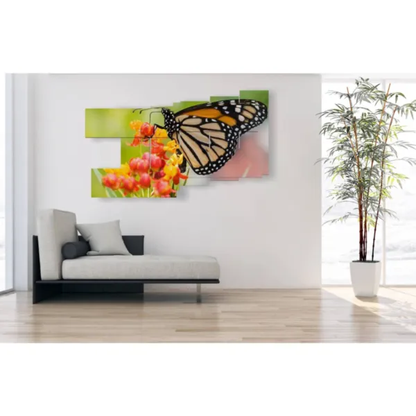Decoración con cuadros de mariposas reales
