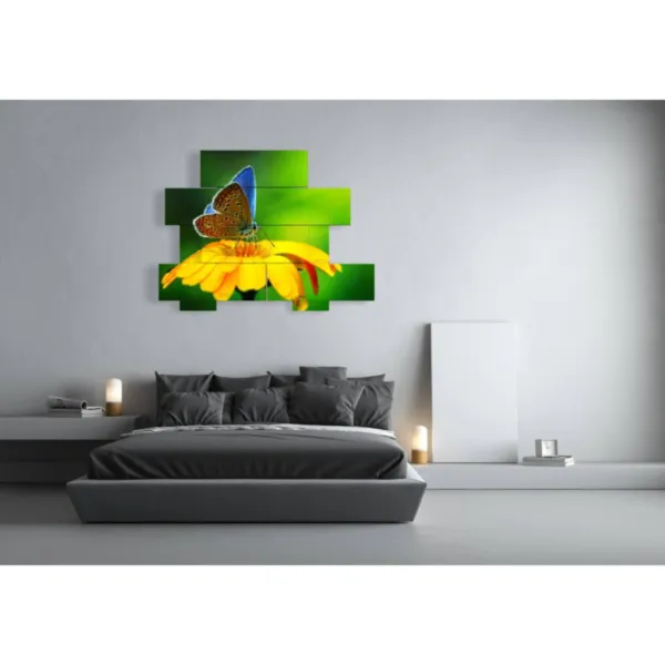 Paintings of flowers and butterflies