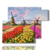 bilder mit bunten tulpen in einer typisch hollaendischen landschaft - version: 6 pannelli 122x96cm
