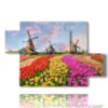 bilder mit bunten tulpen in einer typisch hollaendischen landschaft - version: 5 pannelli 128x85cm