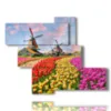 bilder mit bunten tulpen in einer typisch hollaendischen landschaft - version: 5 pannelli 135x104cm