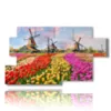 bilder mit bunten tulpen in einer typisch hollaendischen landschaft - version: 7 pannelli 157x90cm