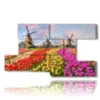 bilder mit bunten tulpen in einer typisch hollaendischen landschaft - version: 8 pannelli 173x100cm