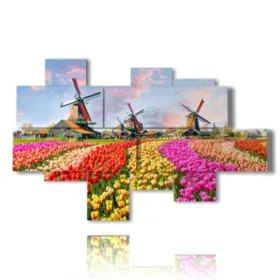 Tableaux avec des tulipes colorées