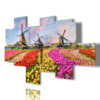 tableaux aux tulipes colorées dans un paysage typiquement hollandais