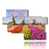 bilder mit bunten tulpen in einer typisch hollaendischen landschaft - version: 10 pannelli 176x119cm