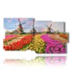 bilder mit bunten tulpen in einer typisch hollaendischen landschaft - version: 10 pannelli 183x100cm