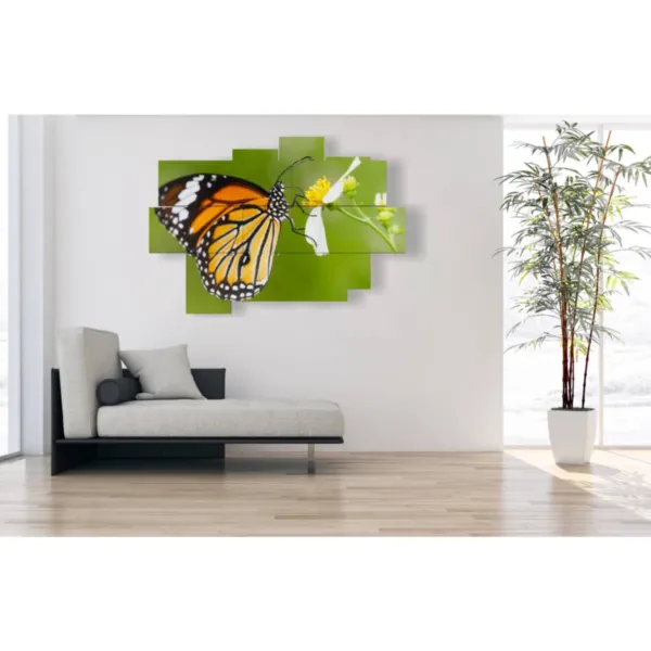 Cuadros con mariposas