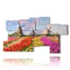 bilder mit bunten tulpen in einer typisch hollaendischen landschaft - version: 9 pannelli 184x106cm