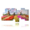 bilder mit bunten tulpen in einer typisch hollaendischen landschaft - version: 10 pannelli 207x106cm