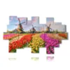 bilder mit bunten tulpen in einer typisch hollaendischen landschaft - version: 20 pannelli 253x152cm