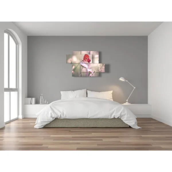 arredamento farfalle vere