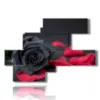 paintings of black roses and red petals - version: 8 pannelli 171x119cm