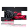 paintings of black roses and red petals - version: 9 pannelli 177x101cm