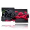 paintings of black roses and red petals - version: 10 pannelli 183x100cm
