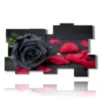 paintings of black roses and red petals - version: 11 pannelli 193x115cm