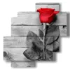 quadro con rosa rossa circondata di grigio - version: 4 pannelli 77x78cm
