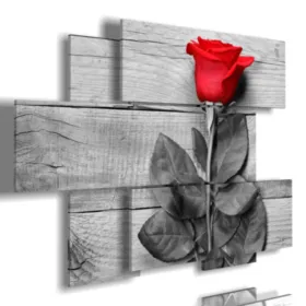 Painting with a red rose surrounded by gray.