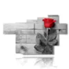 painting with red rose surrounded by gray - version: 7 pannelli 173x108cm