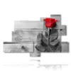 painting with red rose surrounded by gray - version: 9 pannelli 183x121cm