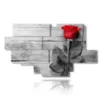 painting with red rose surrounded by gray - version: 12 pannelli 206x119cm