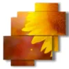 painting with sun kissed flower - version: 4 pannelli 77x78cm