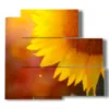painting with sun kissed flower - version: 5 pannelli 102x93cm