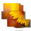 bild mit sonnenverwoehnter blume - version: 5 pannelli 104x92cm